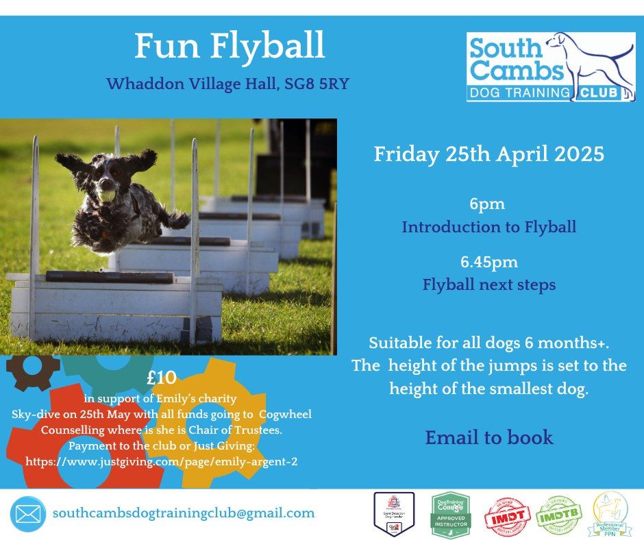 Fun Flyball In Aid Of Cogwheel Counselling