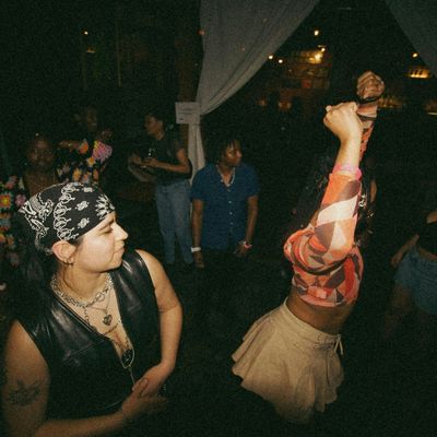 FEM N NEM