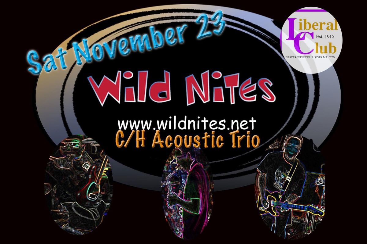 Wild Nites Acoustic Trio