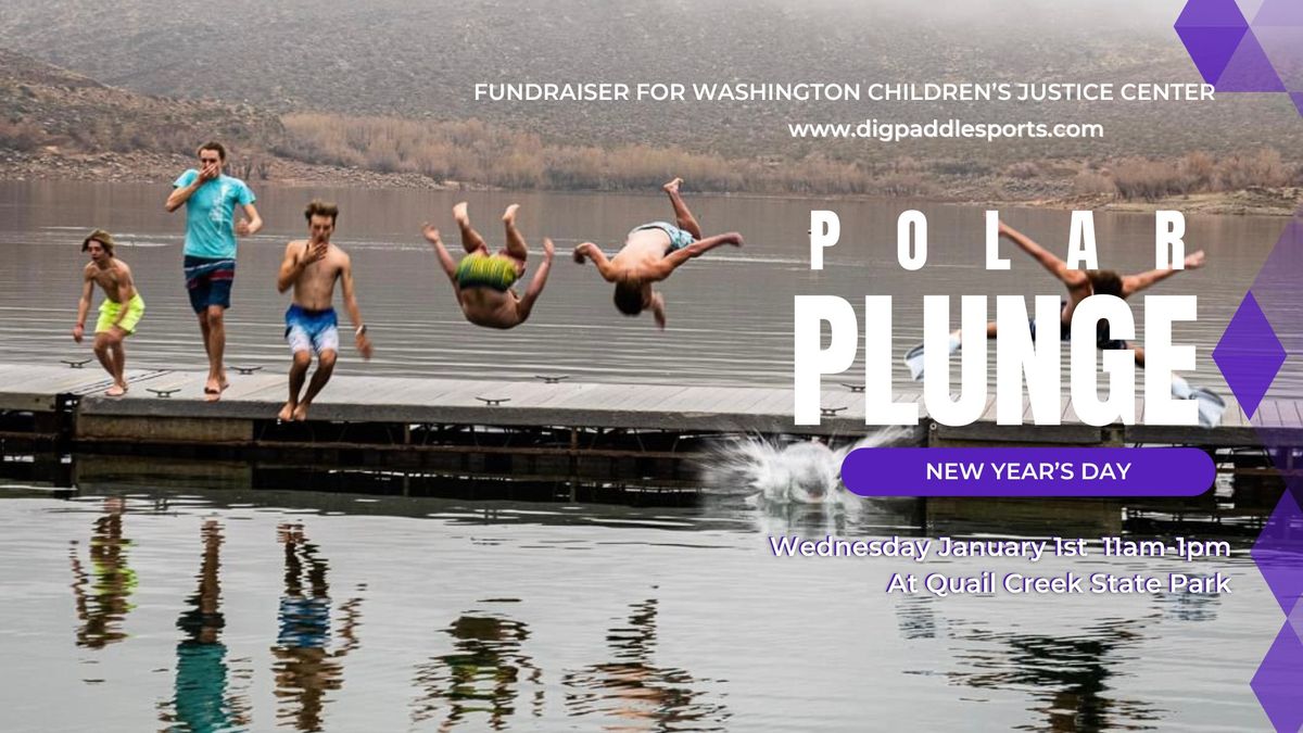 Polar Plunge 2025