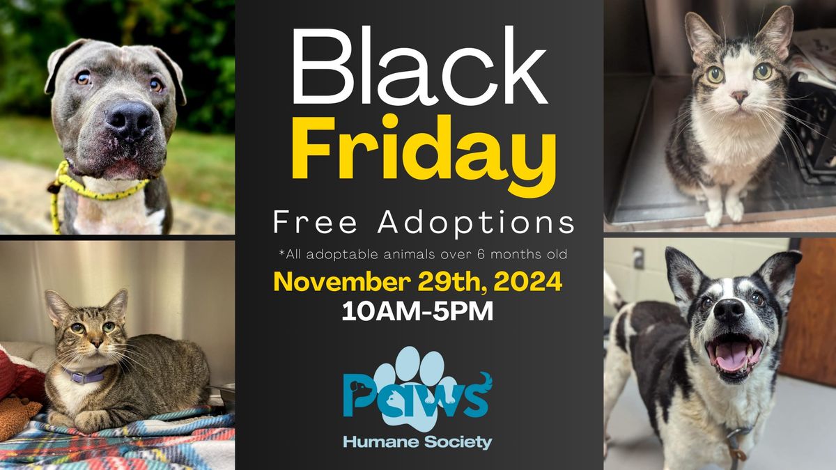 Black Friday Adoption Special