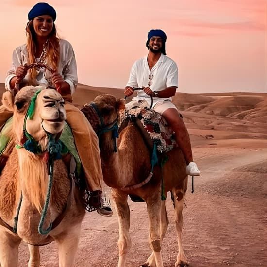 Sunset & Dinner in Desert Agafay Marrakech with Camels