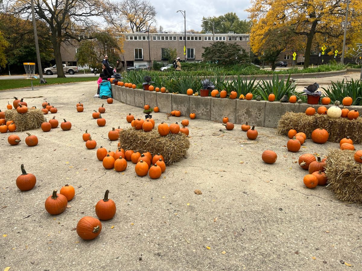 Pumpkins in the Park