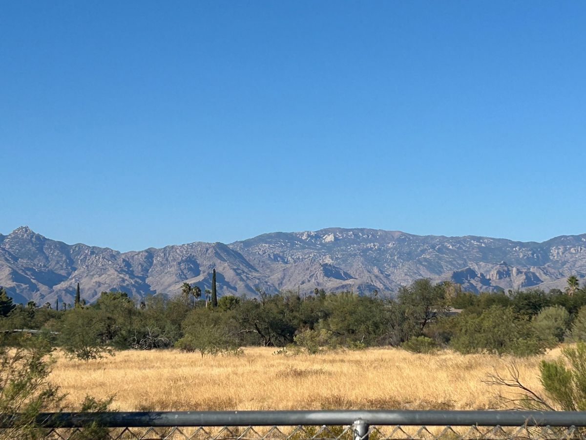 Arizona Sunshine & Saguaros Gravel Bike Tour