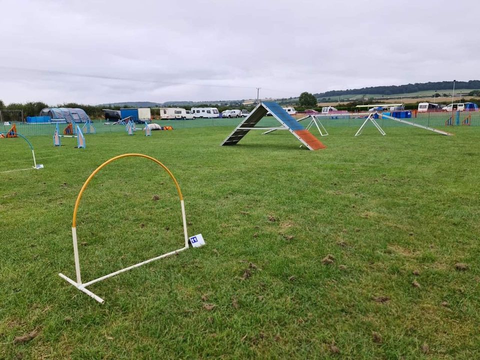 Taming Canines Summer Show Series with NADAC Agility and Canine Hoopers UK Rings