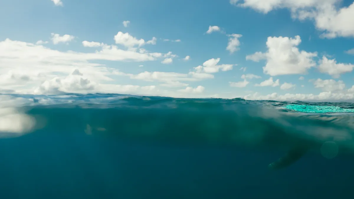 J\u00e9r\u00e9my Frerot in Biarritz