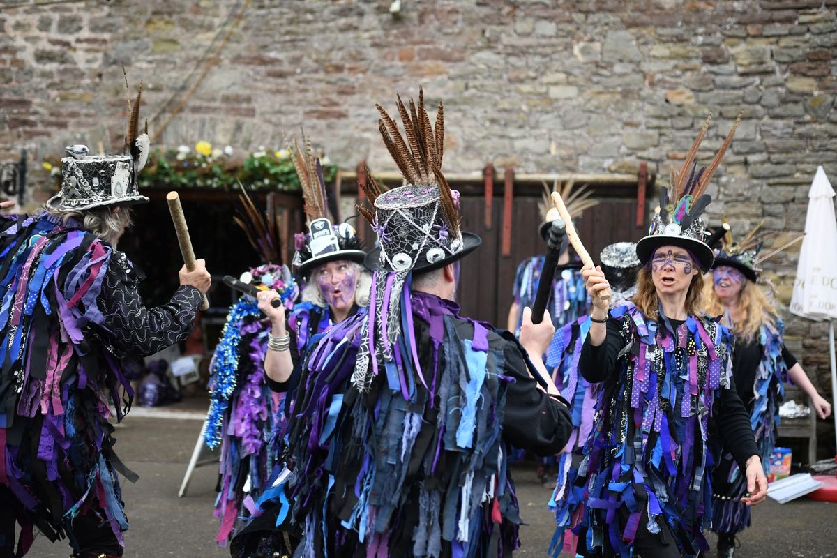 Chepstow Mari Lwyd and Wassail. Hosted by Widders Border Morris.