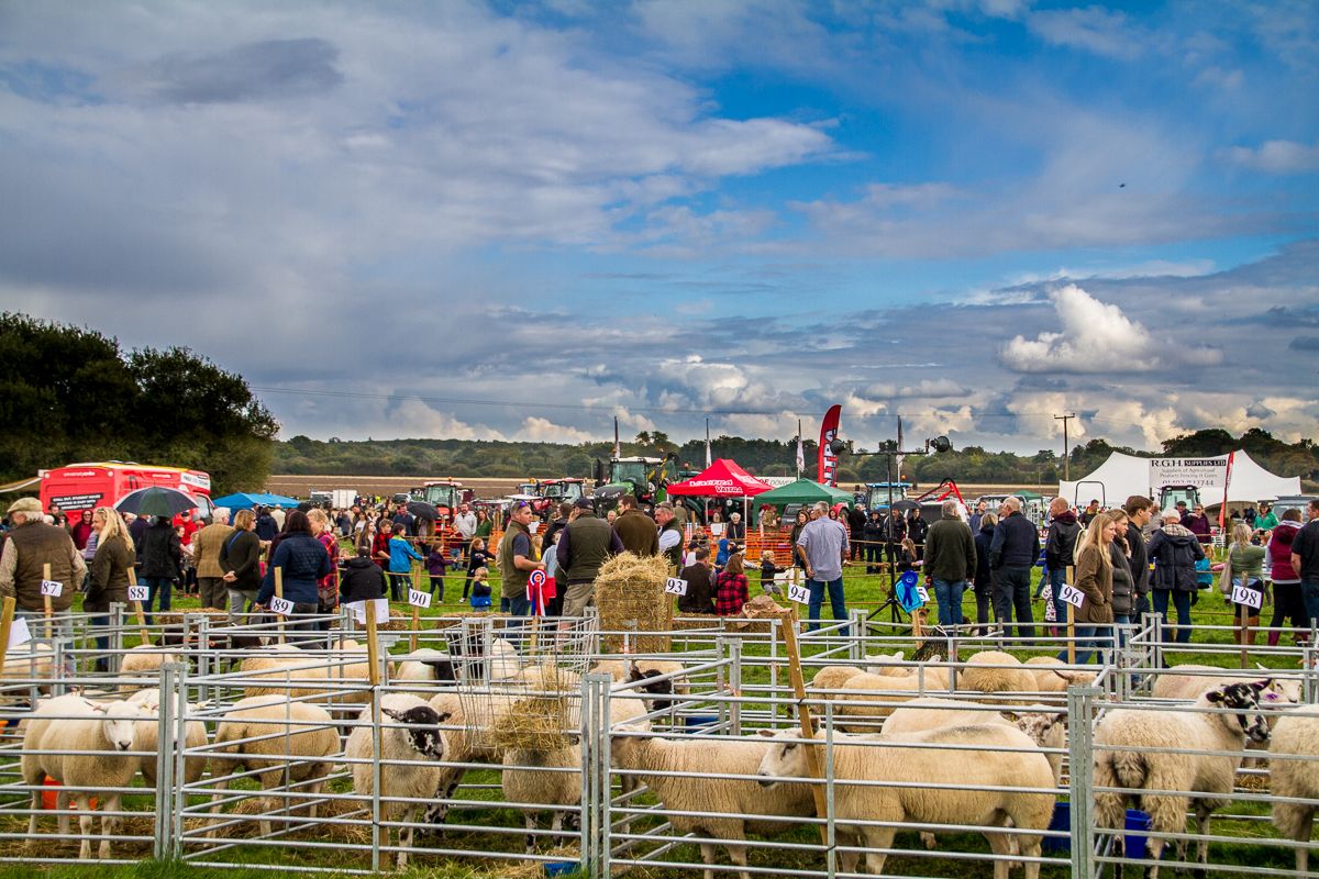 Ploughing Match & Agricultural Show 2024