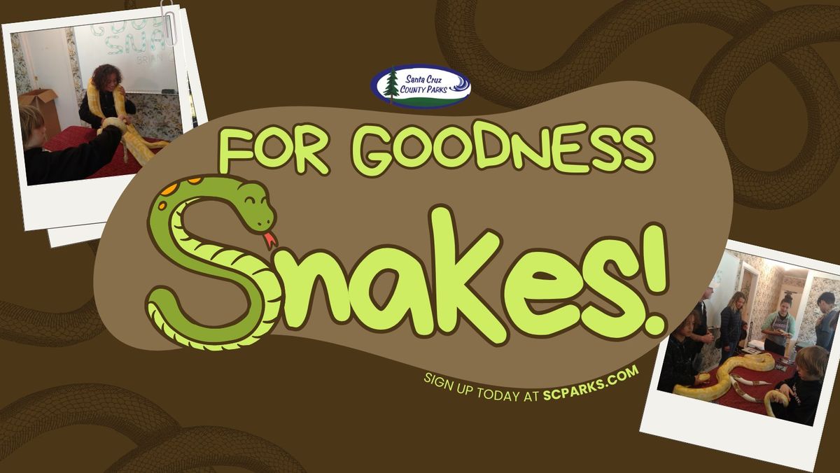For Goodness Snakes! \ud83d\udc0d