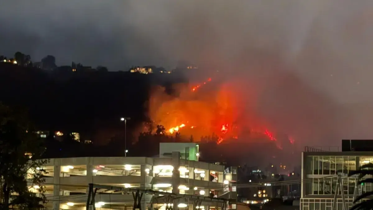 Wildfire