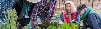 Top Ten Habits of Happy and Successful Gardeners - Sunnyvale