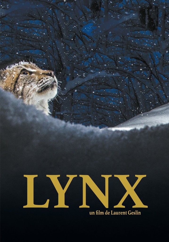 COMPLET : Projection : Le lynx