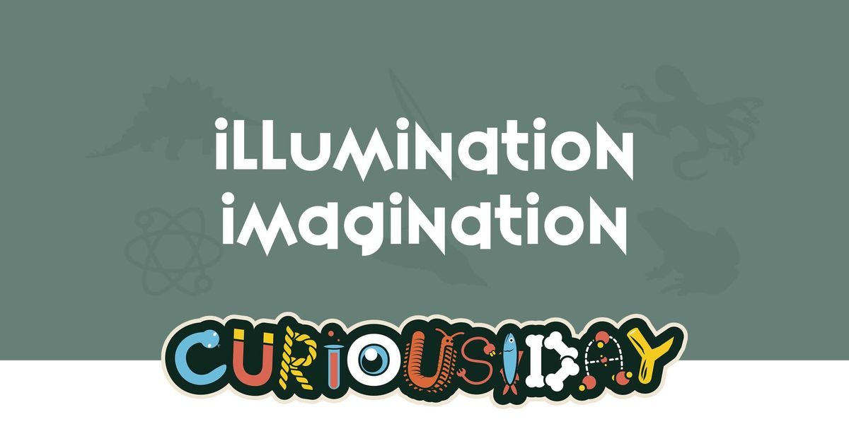 Curiousiday: Illumination Imagination