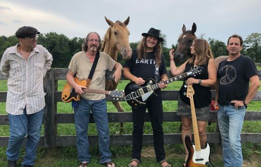 Danger Bird - "A Tribute to Neil Young" at Hill Country DC