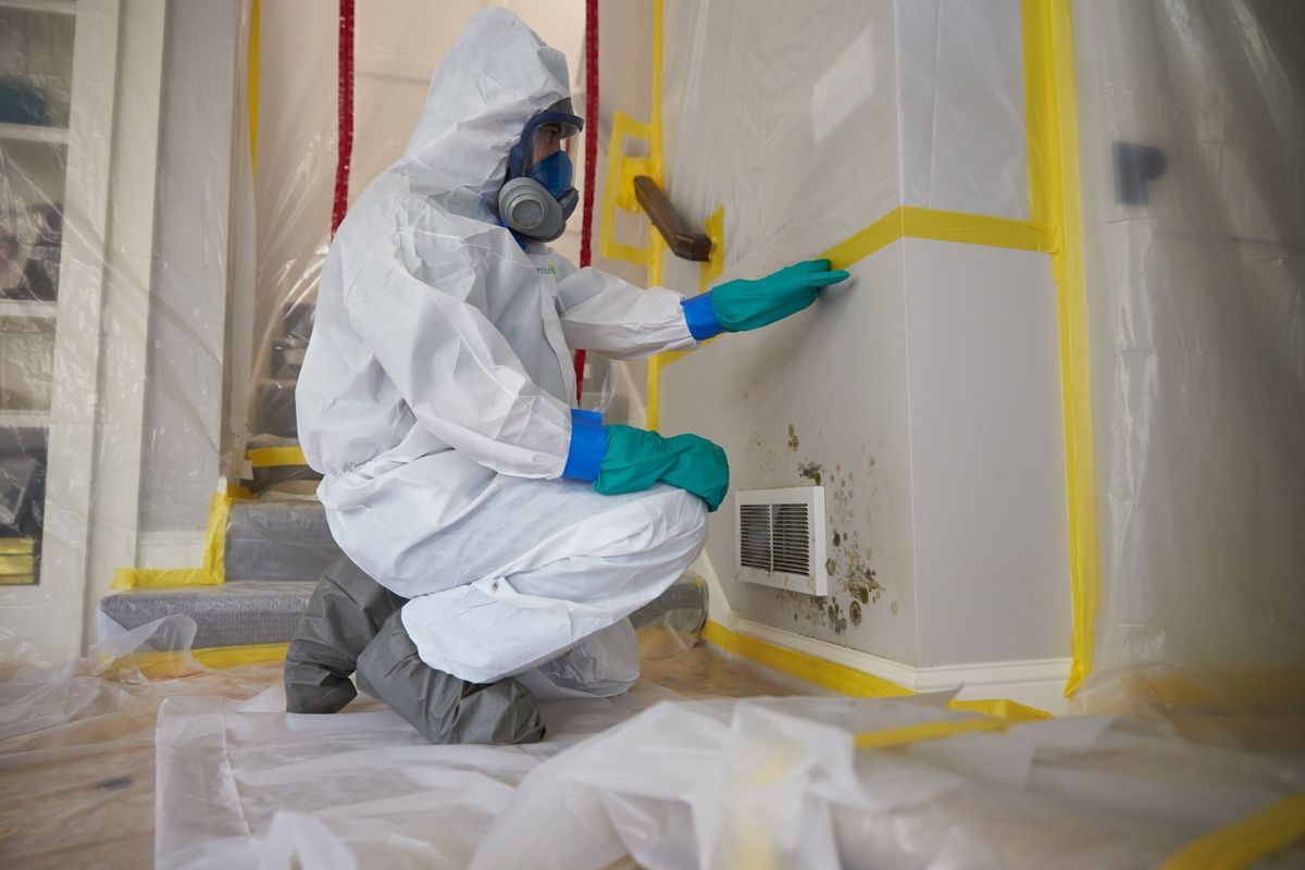 C.E. CLASS MOLD REMEDIATION IN HOMES