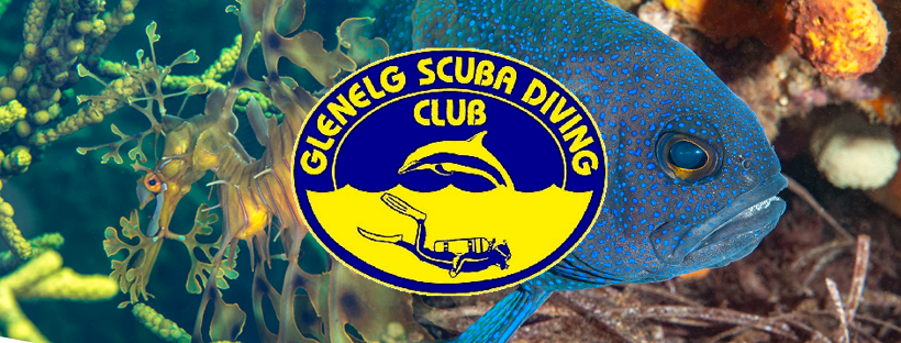 Club Fun Dive - July Port Hughes Jetty dive