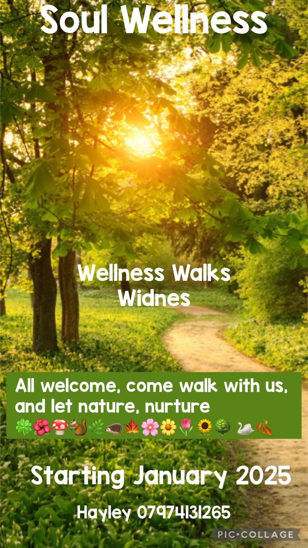 Wellness Walks, Widnes