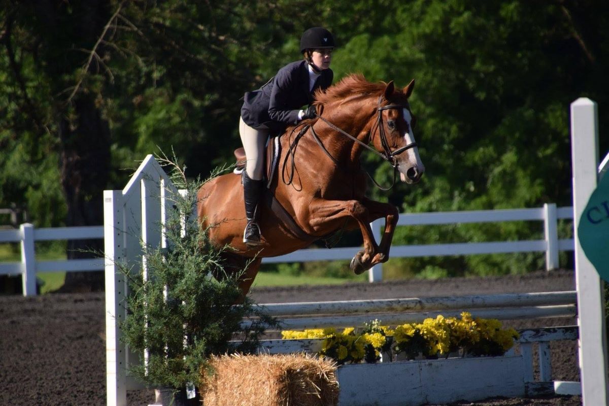 FHY Thoroughbred Show at Montgomery County 4-H Center