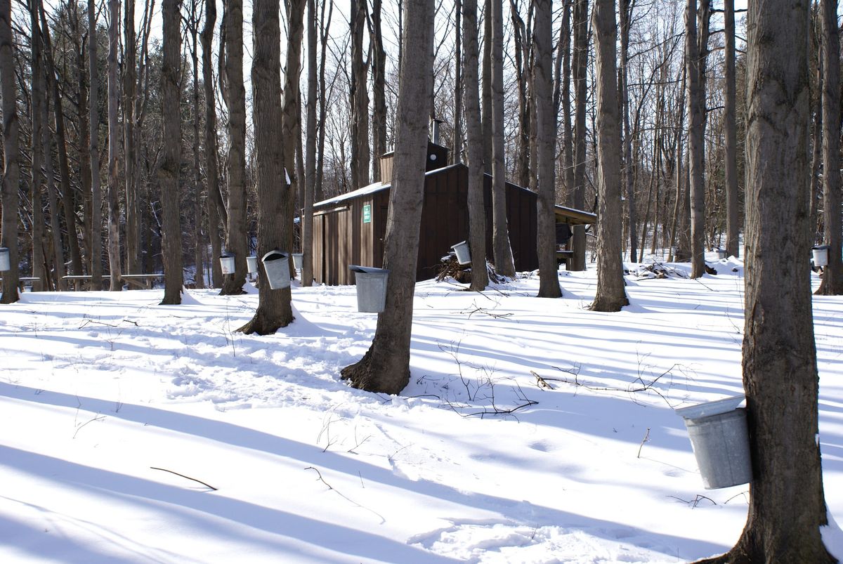 Great Backyard Bird Count Guided Hike 