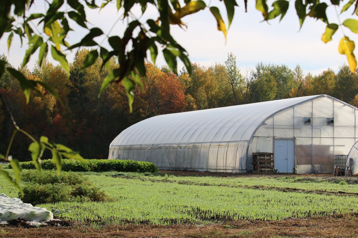 Guided Nature & Foraging Walk with Nikki Satira @ Ottawa Farm Fresh