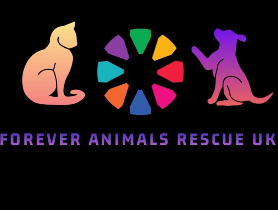 Golden Lion Christmas raffle for Forever Animals Rescue Uk