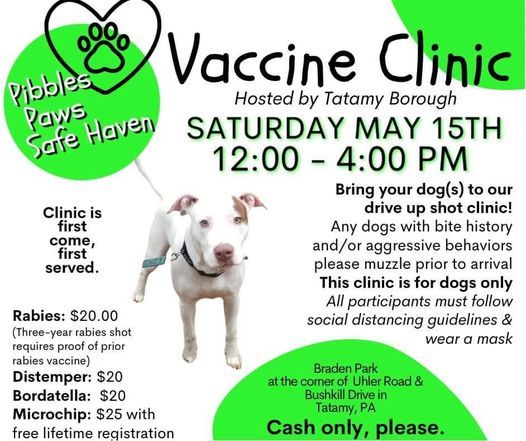 Pibbles Paws Safe Haven Shot Clinic Hosted By Tatamy Borough
