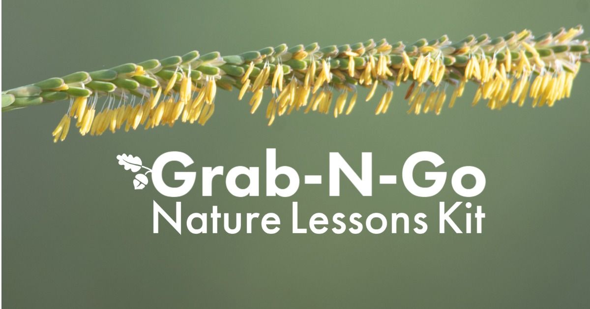 Grab N Go: Untangling INVASIVES