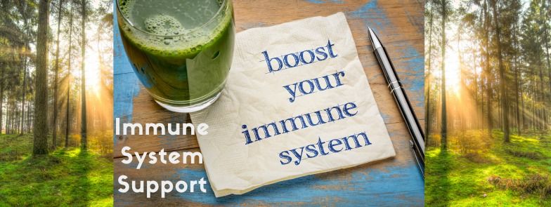 Wellness & the Immune System