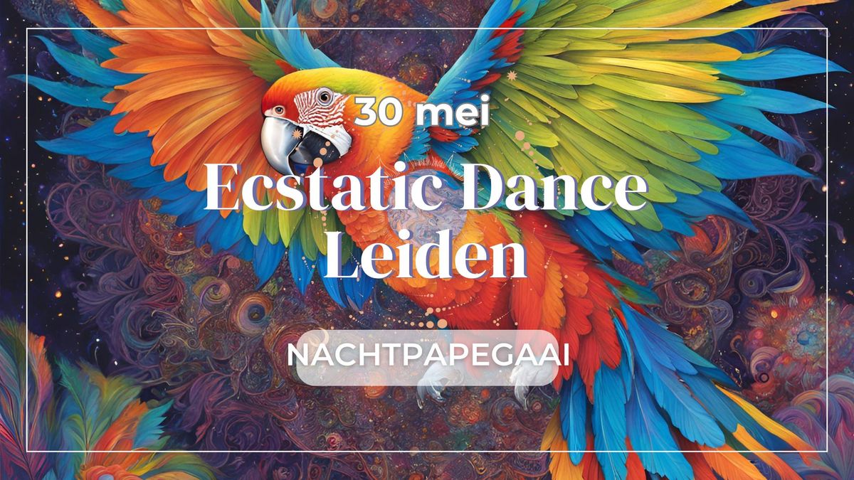 Leiden Ecstatic Dance met de Nachtpapegaai