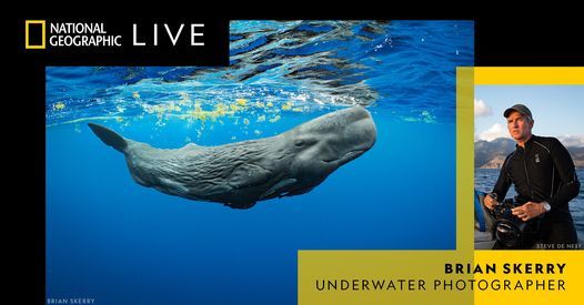 National Geographic Live: Secrets of the Whales