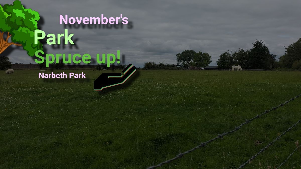 Novembers Park Spruce up - Narbeth Park 