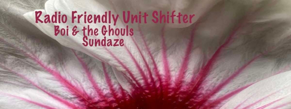 Radio Friendly Unit Shifter \/ Boi and The Ghouls