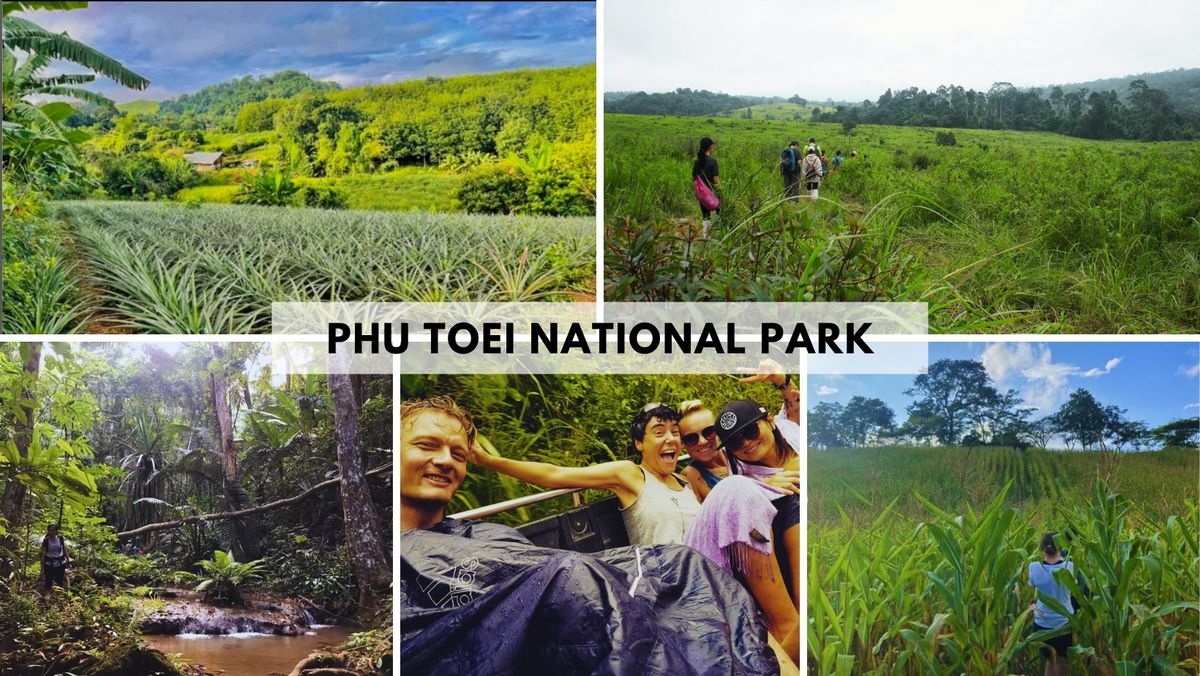 Haunted Hiking Trail & Camping (Phu Toei National Park)