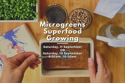Microgreens Superfood Growing (HURRY! Limited Grow Packs)