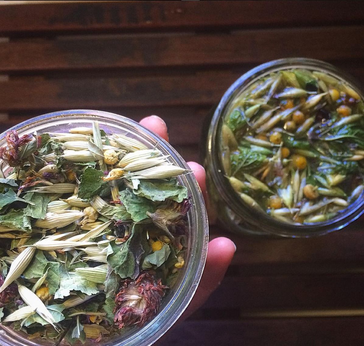 Blending Medicinal Herb Tisanes