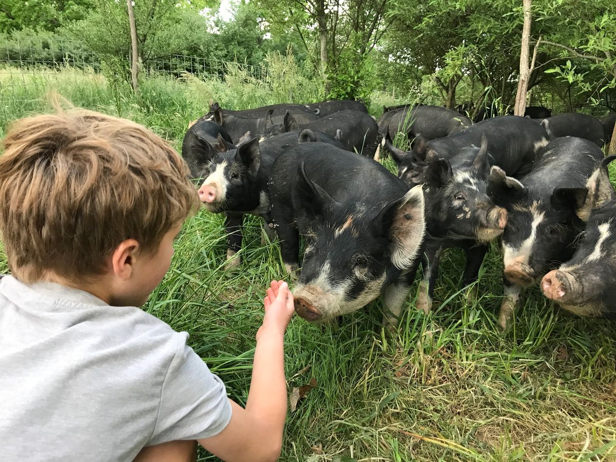 Farmessori- farm day during teacher work day, Nov 5