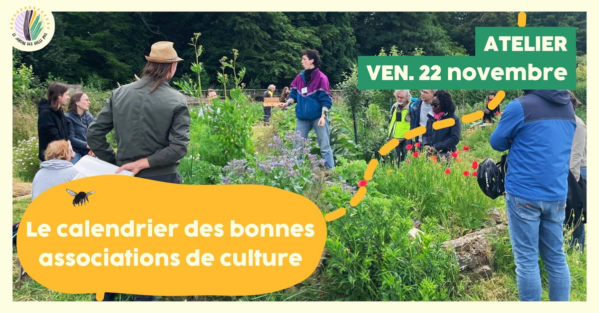 Atelier : calendrier et associations de cultures au potager