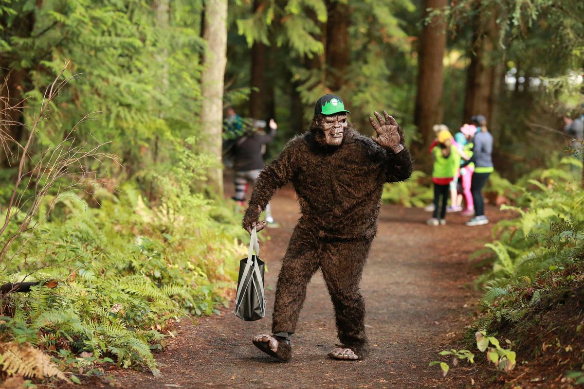 Where's Bigfoot 5k