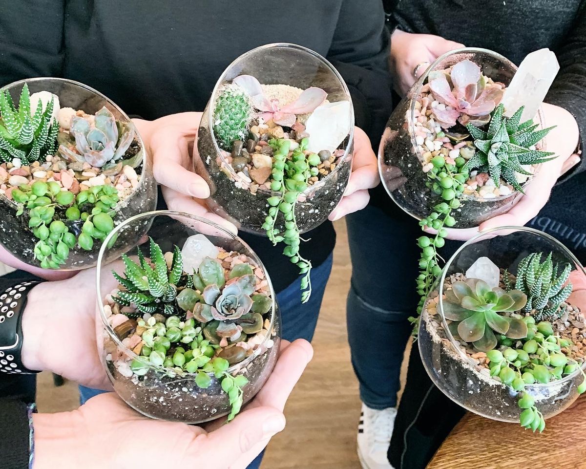 Cacti & Succulent Terrarium Workshop @ Helltown Butler