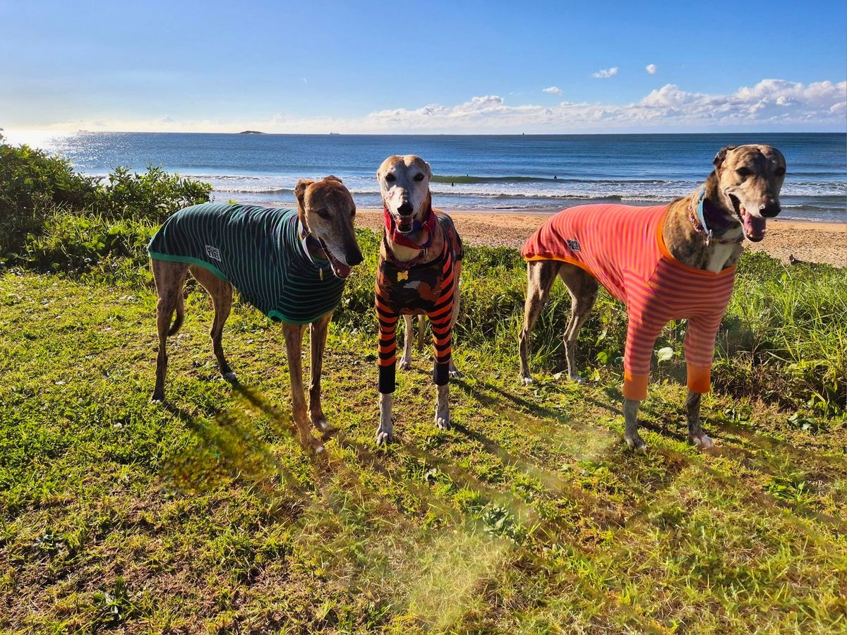 Port Kembla - Great Global Greyhound Walk