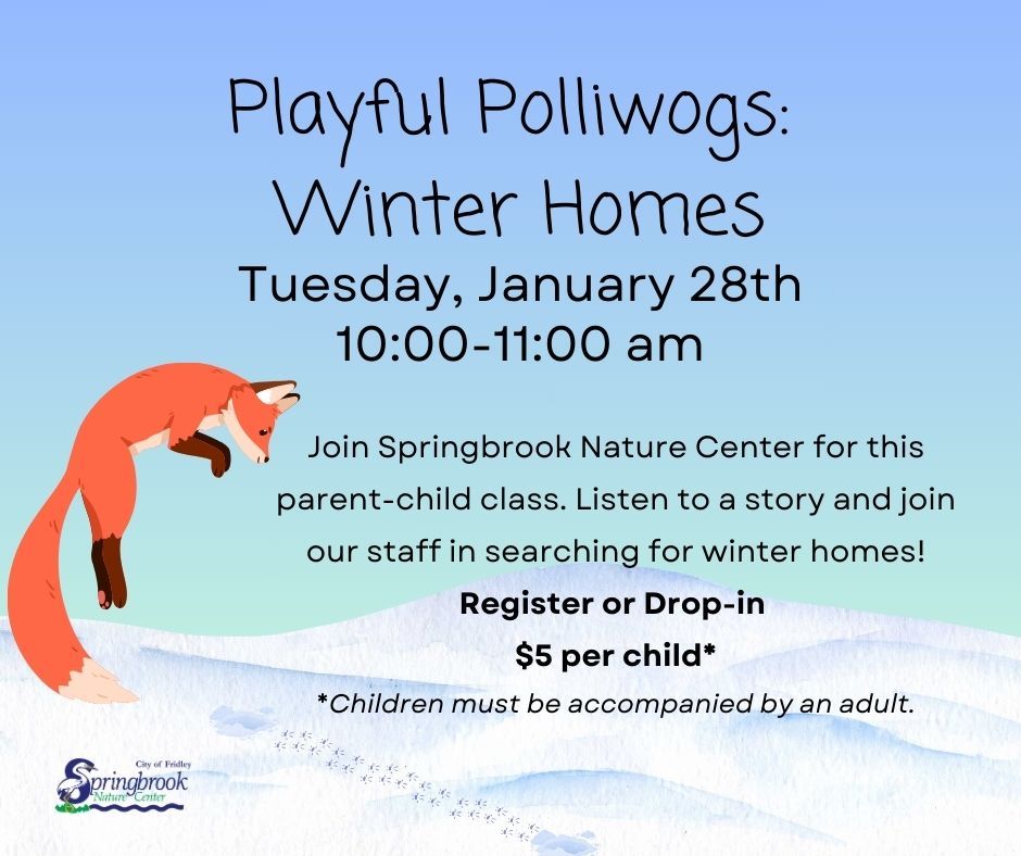 Playful Polliwogs: Winter Homes