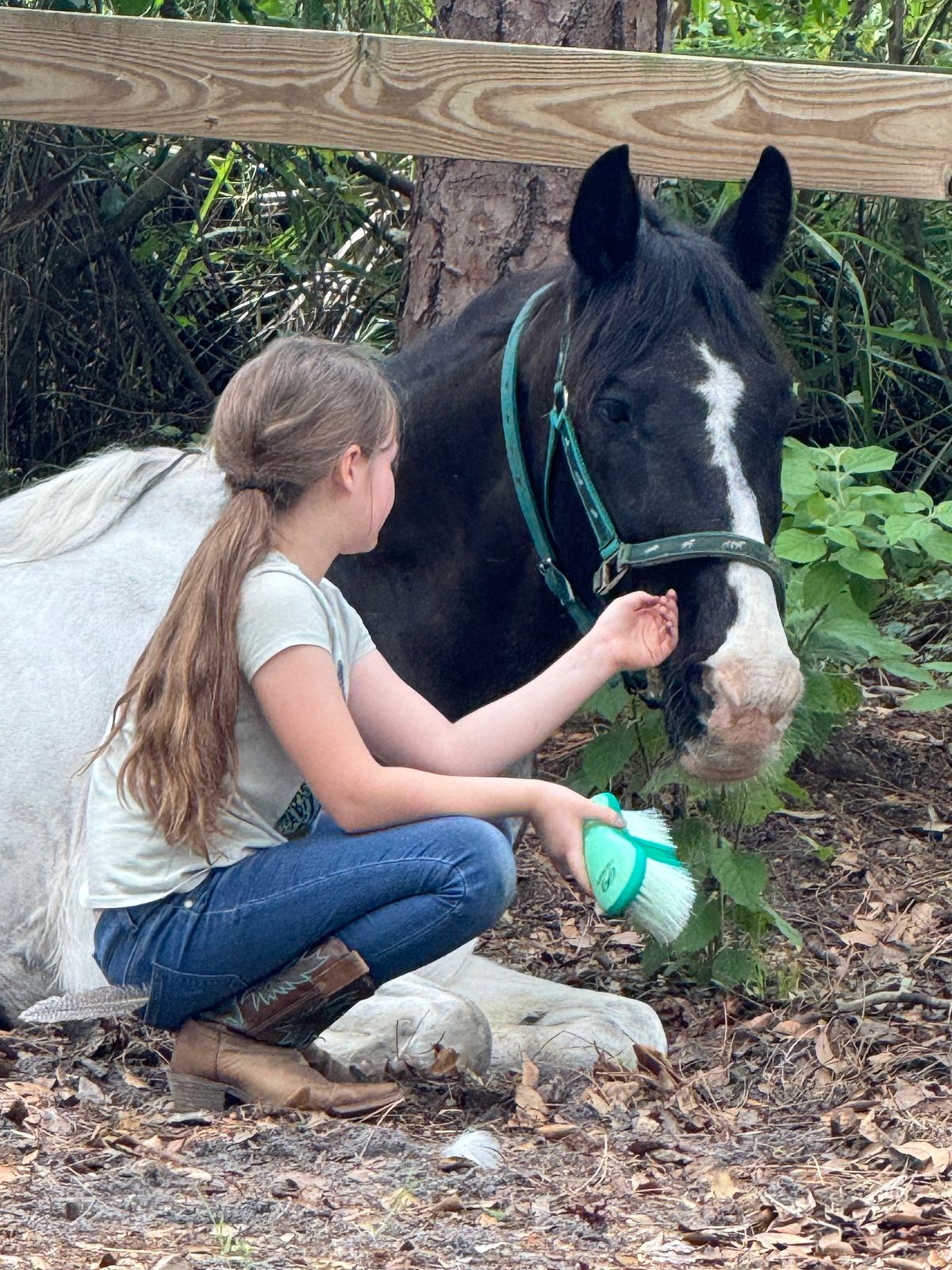 Horse camp ages 8+ (9-5)