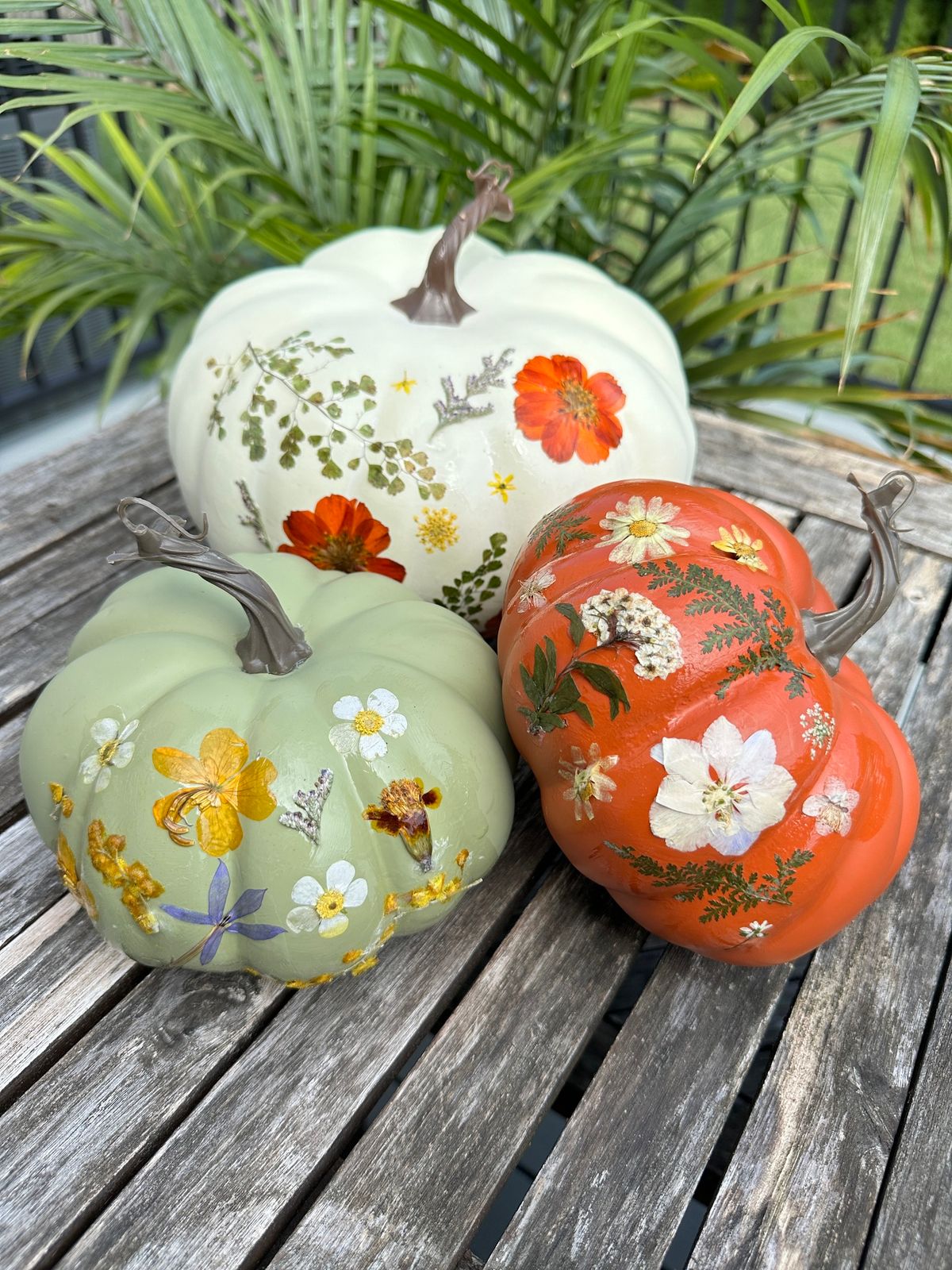 Pressed Flower Pumpkins 10\/4\/24