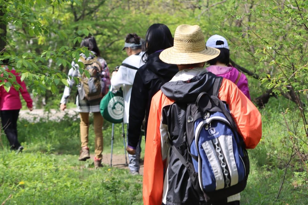 Mandarin Nature Walk in High Park