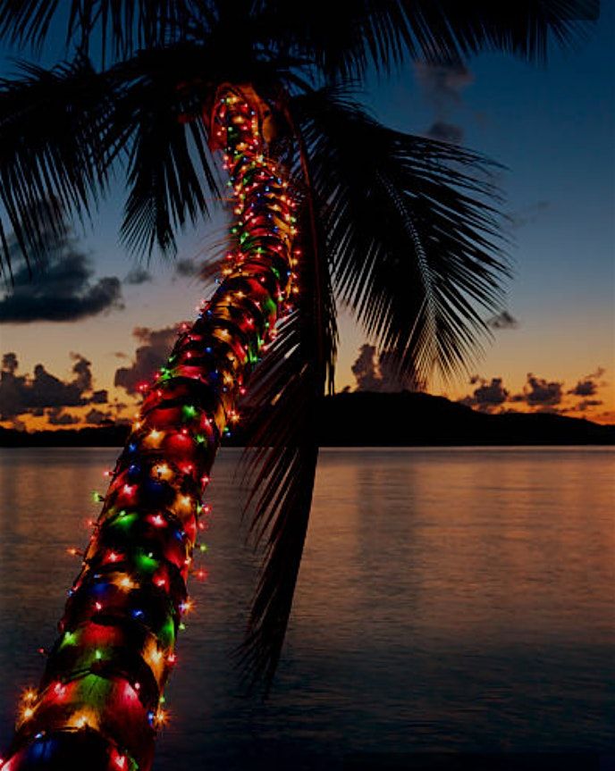 A Caribbean Christmas Carol adapted and  directed by Jacqueline Wade