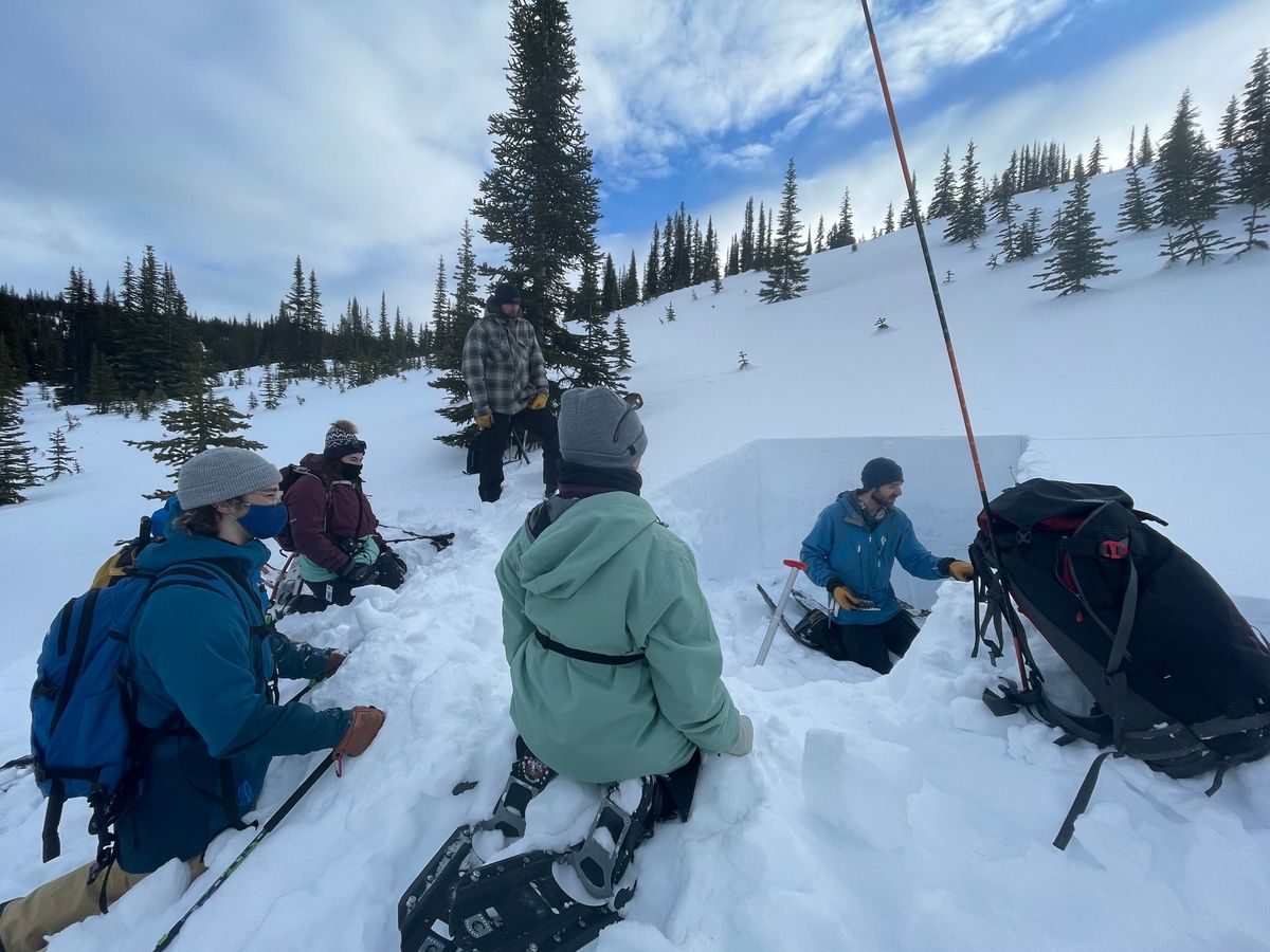 Speaker Series: Avalanche Science