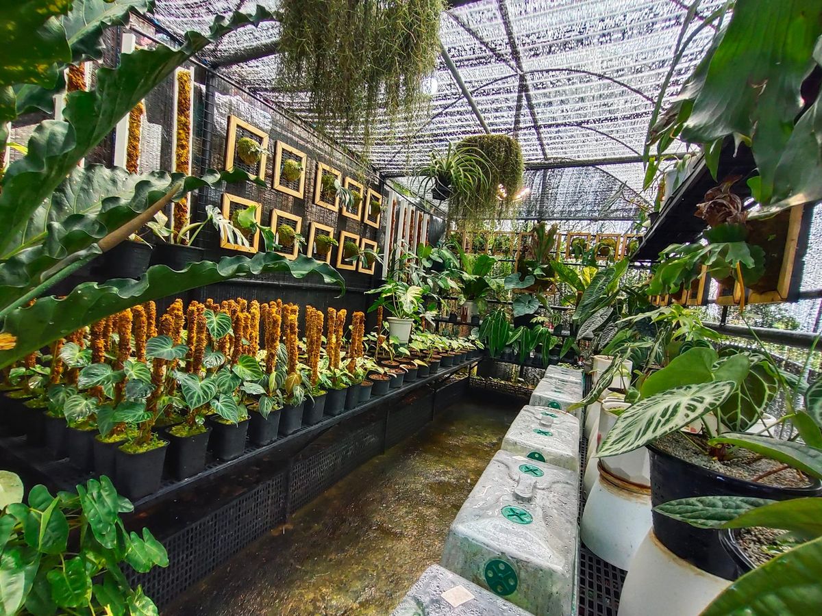 Plant Exhibit