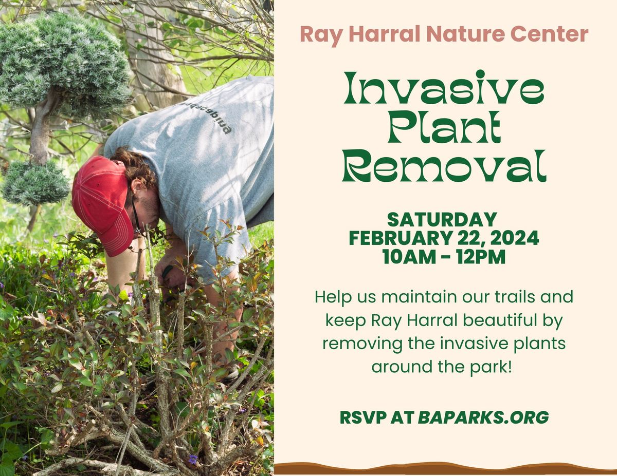 Volunteer Day - Invasive Plant Removal