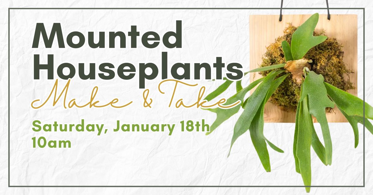 Make & Take: Mounted Houseplants