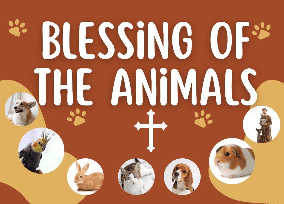 Blessing of the Animals